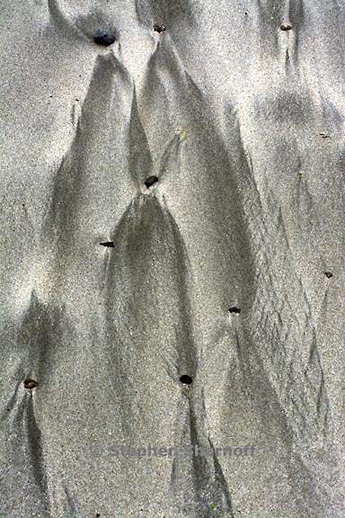 pebbles and sand 3724 1 graphic